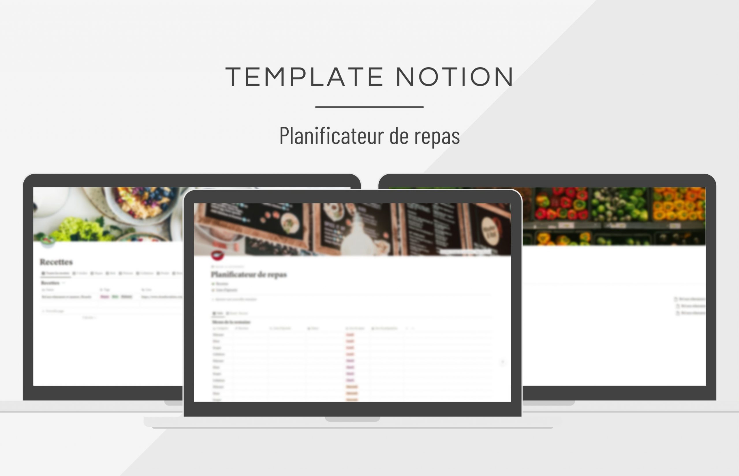 template_notion_planificateur_repas
